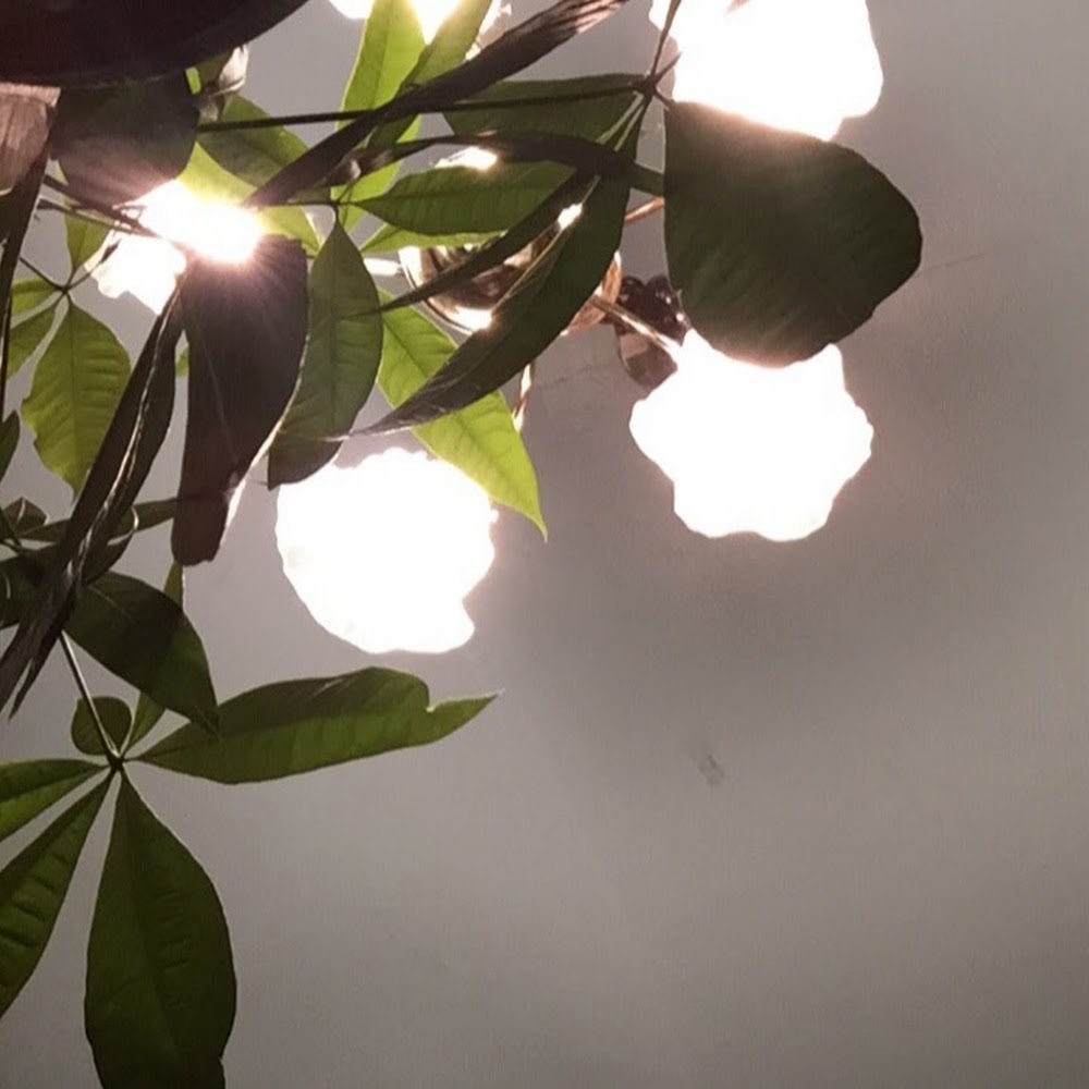 Meet your Posher, Xcxgaby